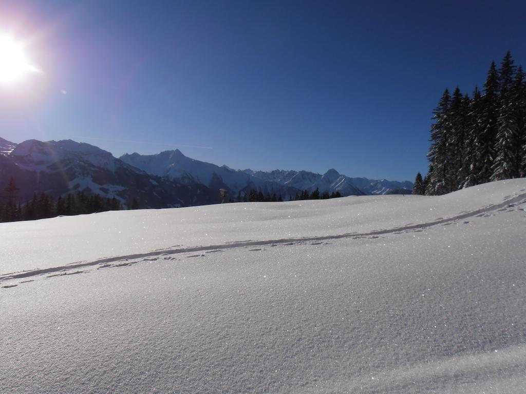 Breierhof